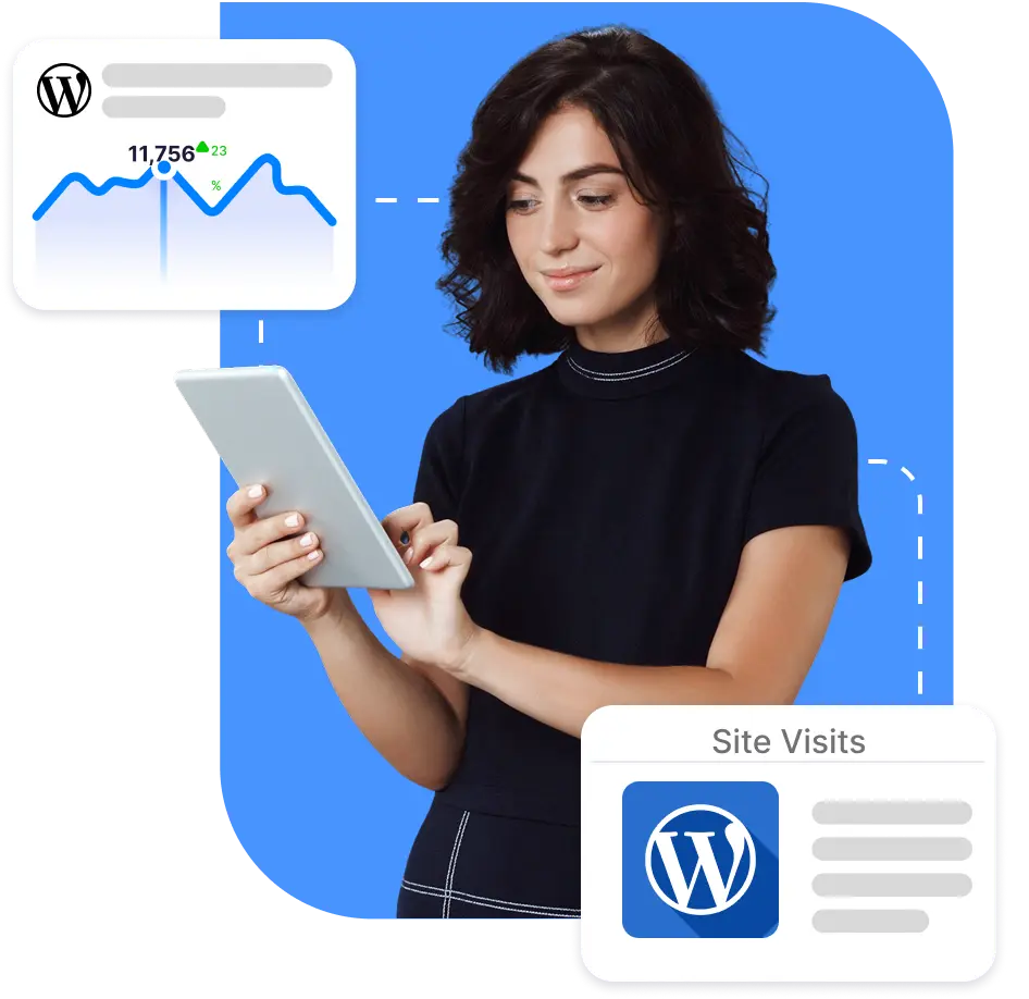 WordPress Hosting Illustration